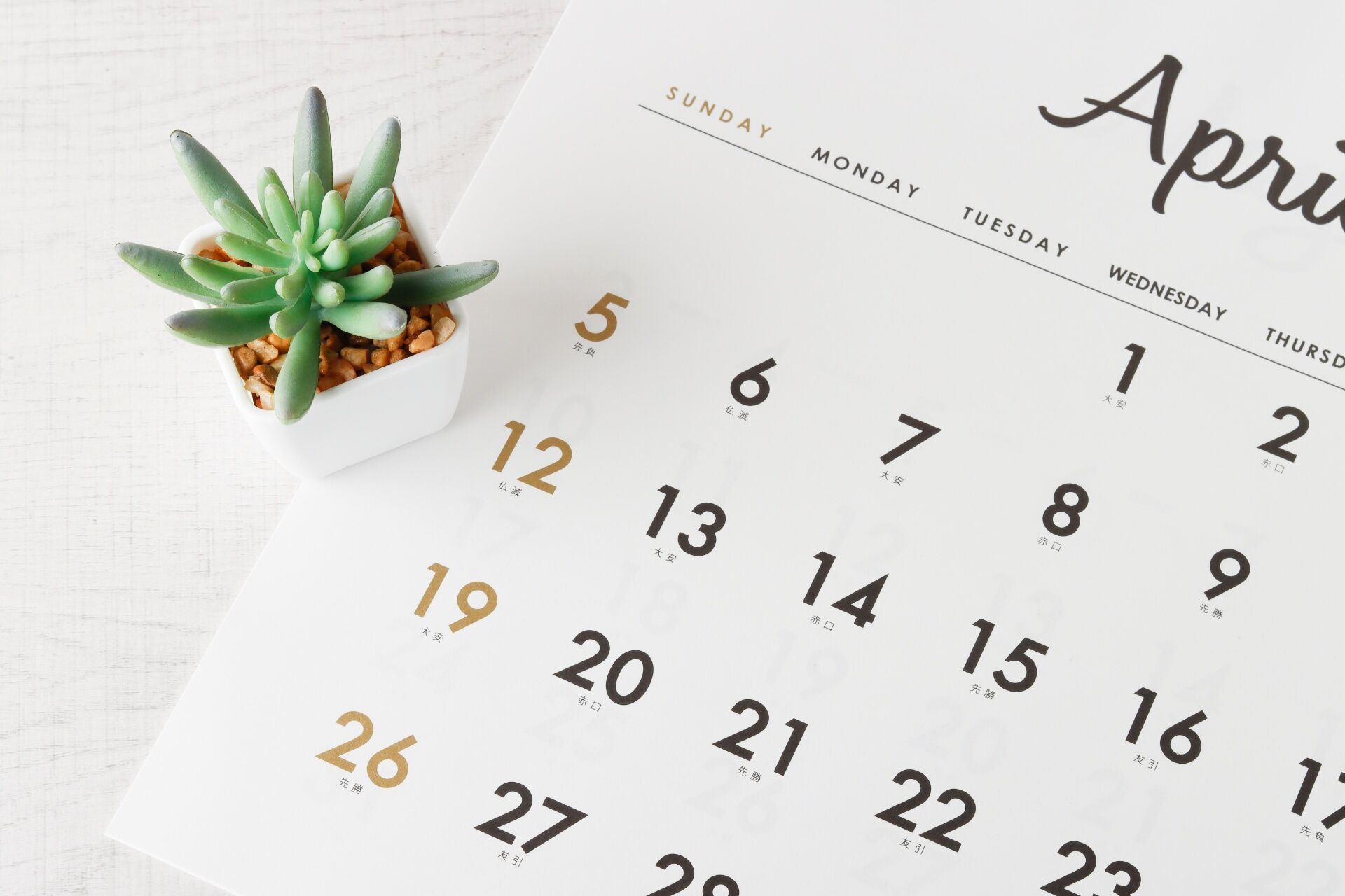AdobeStock_334612830